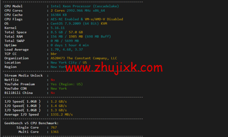 Vultr：纽约机房测评 2022：下载速度、速度延迟、路由丢包、性能测评、流媒体解锁等