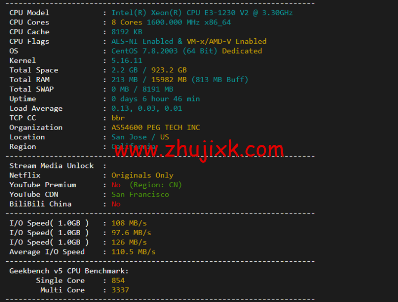 raksmart：美国圣何塞（硅谷）机房独立服务器，大陆优化 100M 线路（个别地区走 cn2 线路回国），机器性能/流媒体/线路等测评数据分享
