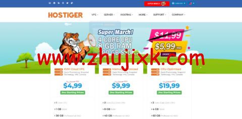 hostiger：土耳其便宜 vps，4 核/8G 内存/100G SSD 硬盘/5TB 流量/300M 带宽，,99/月起