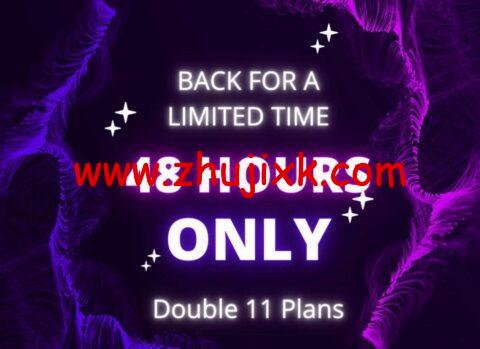 RackNerd：48 小时闪购，重开 2021 双十一套餐，1 核/1G/10G SSD/2T/1Gbps/年付，多机房可选，限量销售