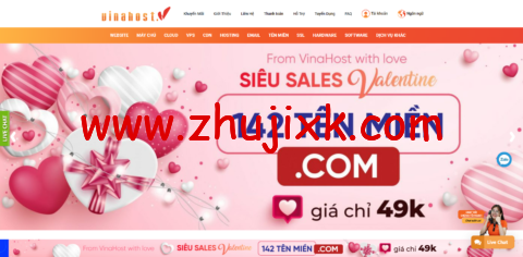 VinaHost：便宜越南 VPS，免费的 DirectAdmin，越南抗投诉 VPS 八折，4.6 美元/月起