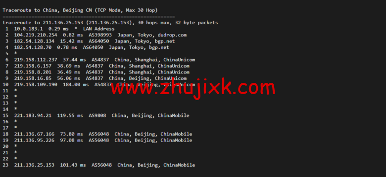 raksmart：日本云服务器，精品网络，流媒体等简单测评