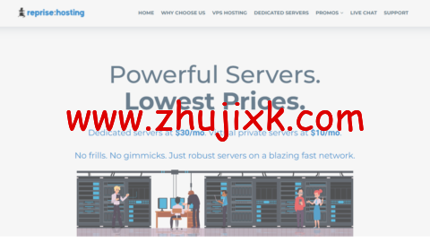 RepriseHosting：美国西雅图服务器，L5640/16G 内存/1TB HDD/240G SSD 硬盘/20TB 流量/1Gbps 带宽，.97/月