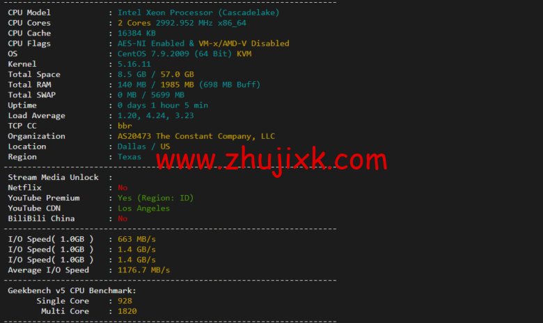 Vultr：达拉斯机房云服务器测评 2022：下载速度、速度延迟、路由丢包、性能测评、流媒体解锁等