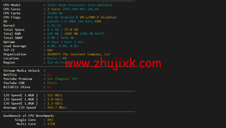 Vultr：法国巴黎机房云服务器测评 2022：下载速度、速度延迟、路由丢包、性能测评、流媒体解锁等