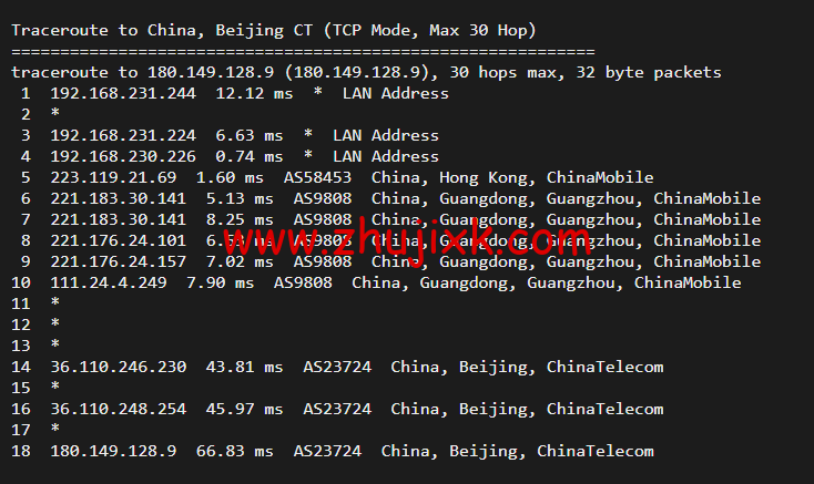 10gbiz：香港 VPS 云服务器（GIA+VIP）线路，简单测评