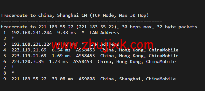 10gbiz：香港 VPS 云服务器（GIA+VIP）线路，简单测评