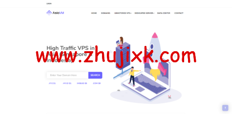 AsiaVM：印尼独立服务器，E5-2470/64GB 内存/1TB SSD 硬盘/不限流量/100Mbps 带宽，0 USD/月起