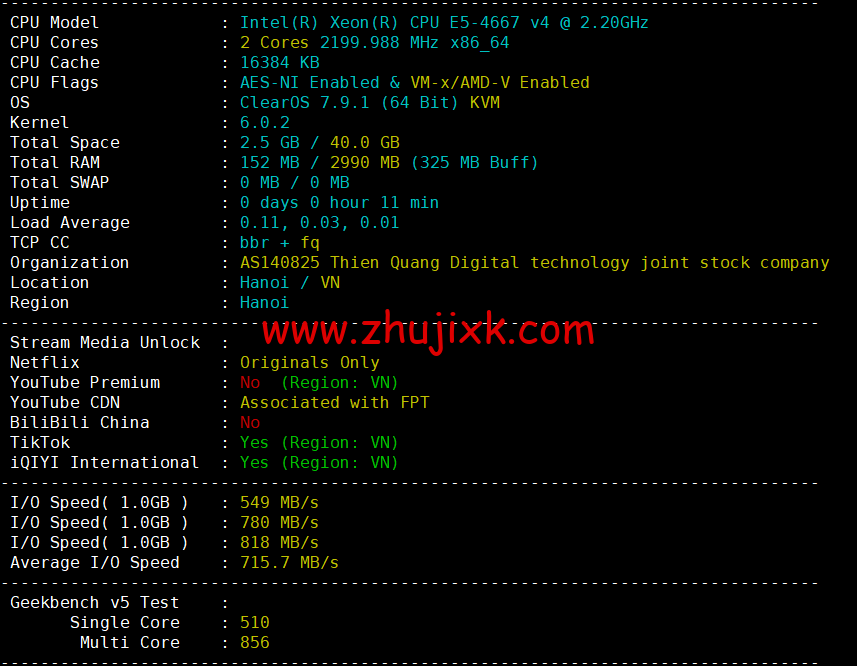 HostingViet：越南便宜 VPS，1 核/2G 内存/20GB SSD/不限流量/150Mbps 带宽，15 元/月起，原生 ip，解锁 tiktok，简单测评
