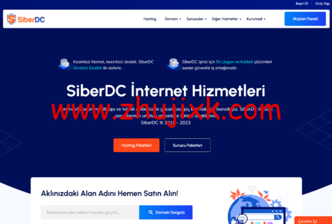 SiberDC：土耳其 VPS，2 核/1GB 内存/30G SSD/1Gbps 不限流量，class=