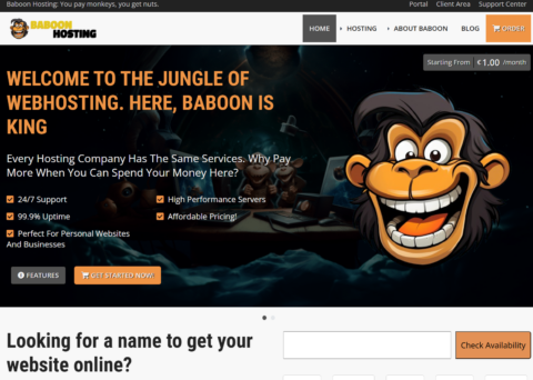 BaboonHosting：荷兰 vps，1 核/1GB/30GB SSD/4TB@5Gbps，€10.99/年