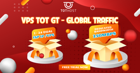 TOTHOST：越南 VPS 八五折，250Mbps 不限流量，.6/月起，双 ISP 属性 IP