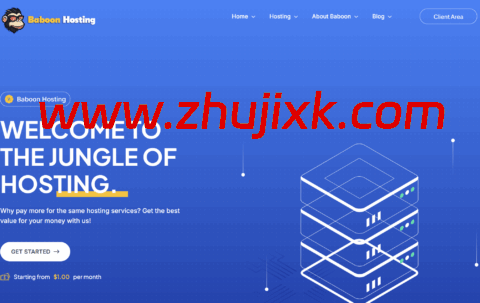 BaboonHosting：荷兰 VPS，€12.99/年起，荷兰 IPv6 vps 年付 5 欧元起