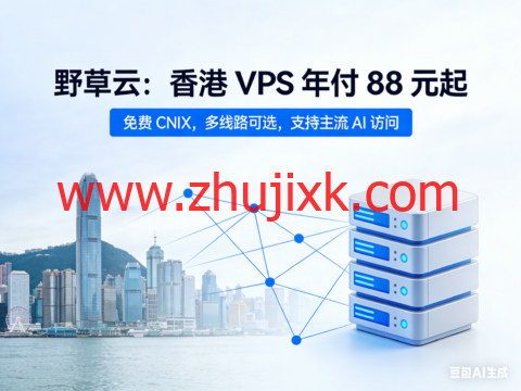 野草云：香港 VPS 年付 88 元起，免费 CNIX，多线路可选，支持主流 AI 访问