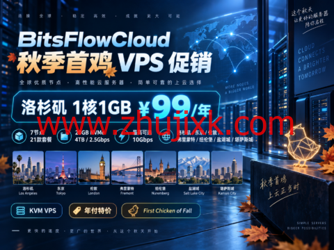 BitsFlowCloud 秋季首鸡 VPS 促销：洛杉矶1核1GB ¥99/年，7节点21款套餐